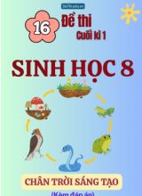 Tuyển tập 16 Đề thi cuối Kì 1 môn Sinh Học 8 sách Chân Trời Sáng Tạo (Kèm đáp án)